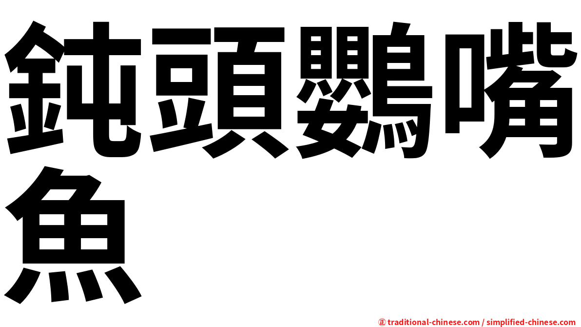 鈍頭鸚嘴魚