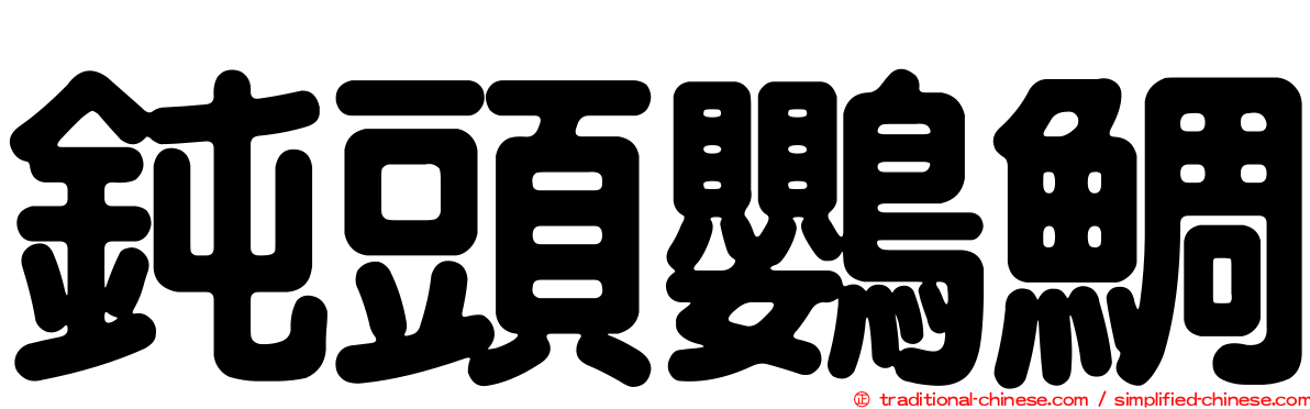 鈍頭鸚鯛