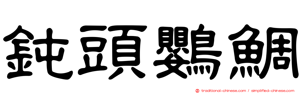 鈍頭鸚鯛
