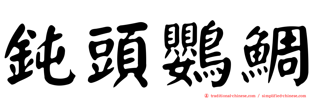 鈍頭鸚鯛