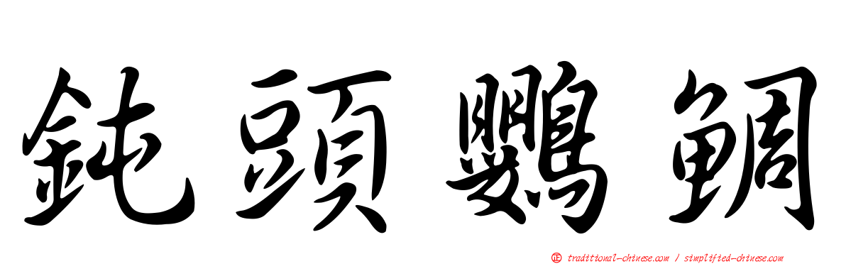 鈍頭鸚鯛