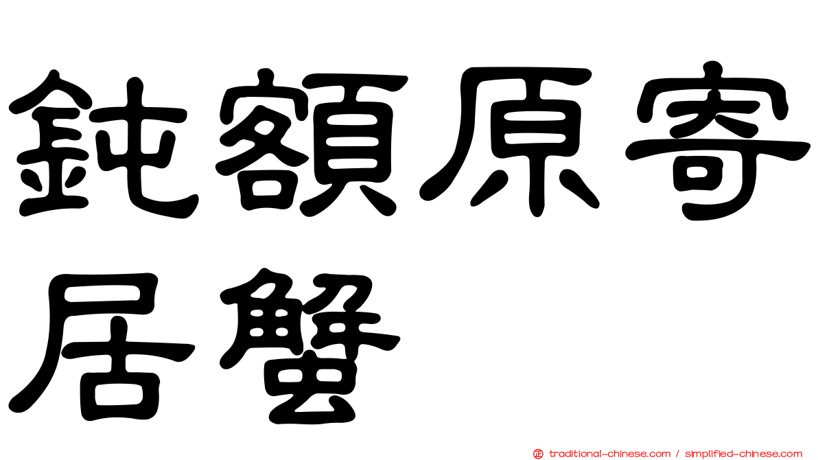鈍額原寄居蟹