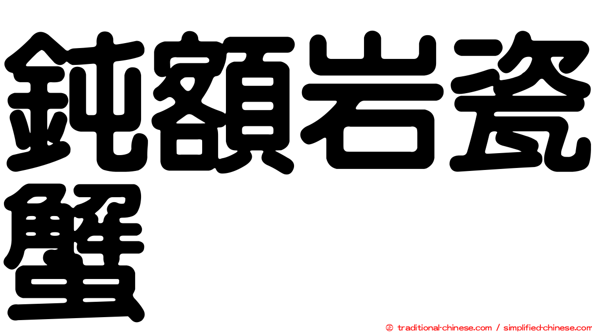 鈍額岩瓷蟹