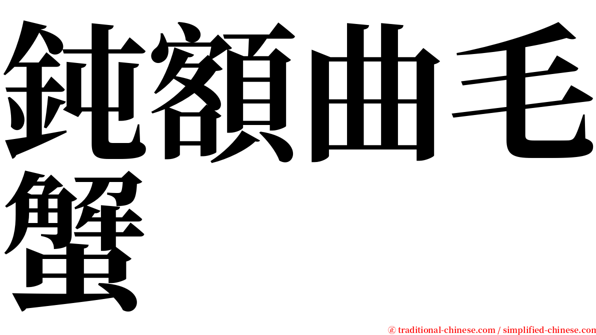 鈍額曲毛蟹 serif font