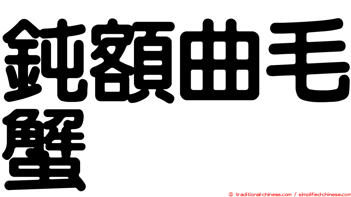 鈍額曲毛蟹