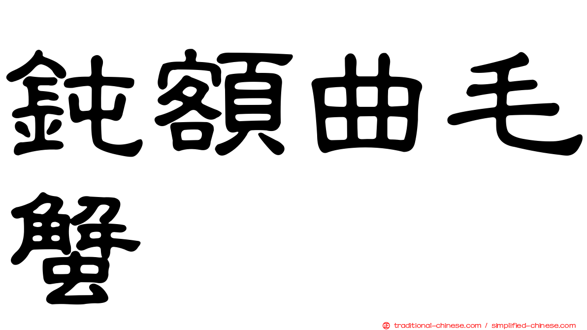 鈍額曲毛蟹