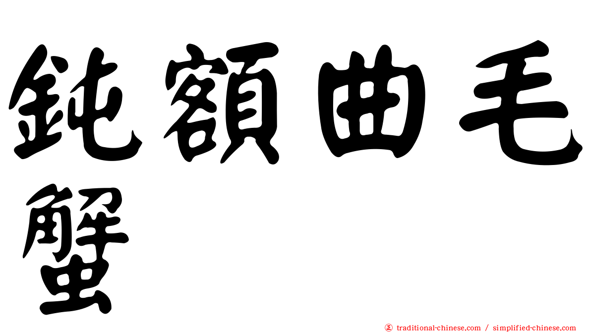 鈍額曲毛蟹