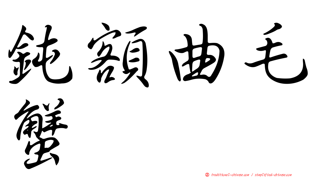 鈍額曲毛蟹