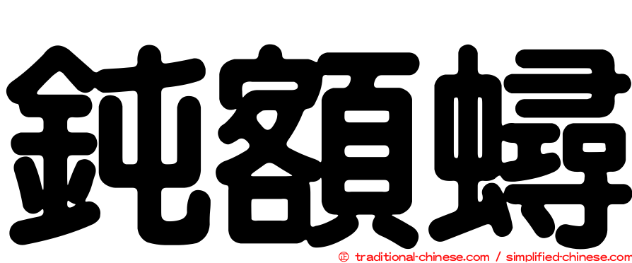 鈍額蟳