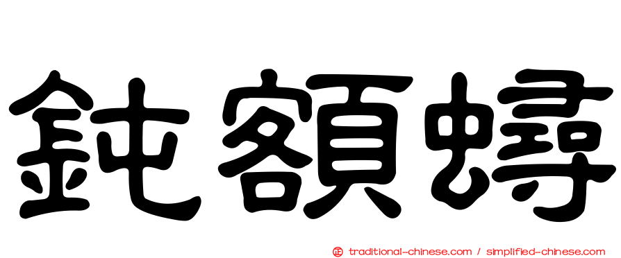 鈍額蟳