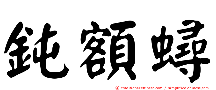 鈍額蟳