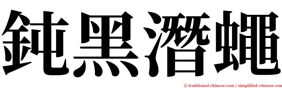 鈍黑潛蠅 serif font