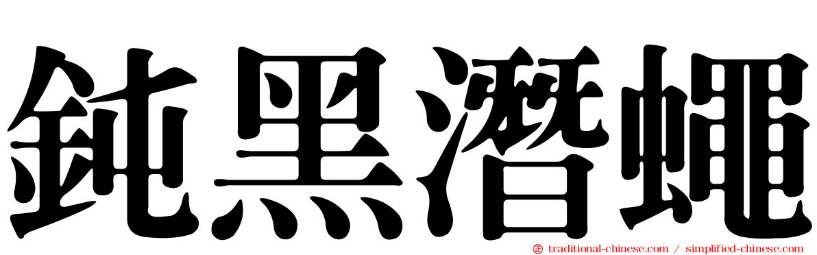 鈍黑潛蠅