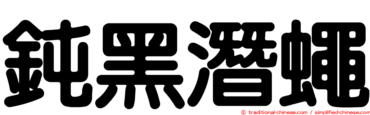 鈍黑潛蠅