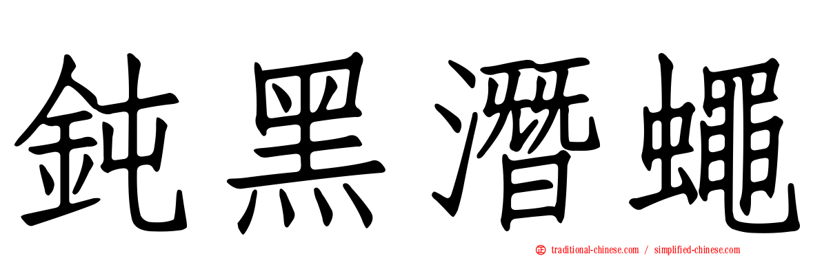 鈍黑潛蠅