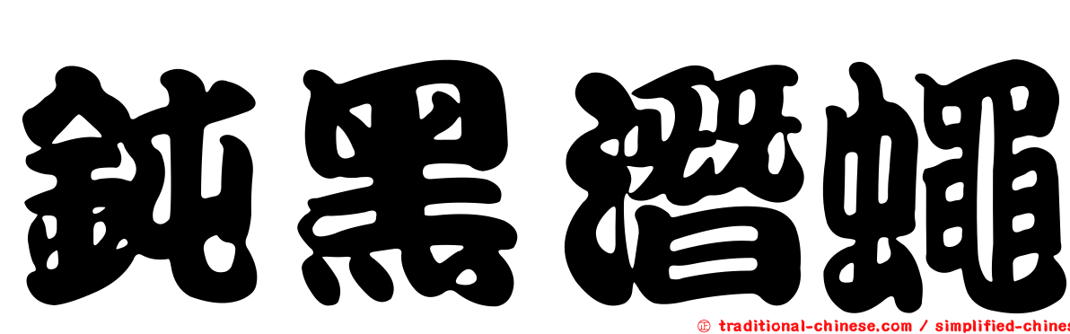 鈍黑潛蠅