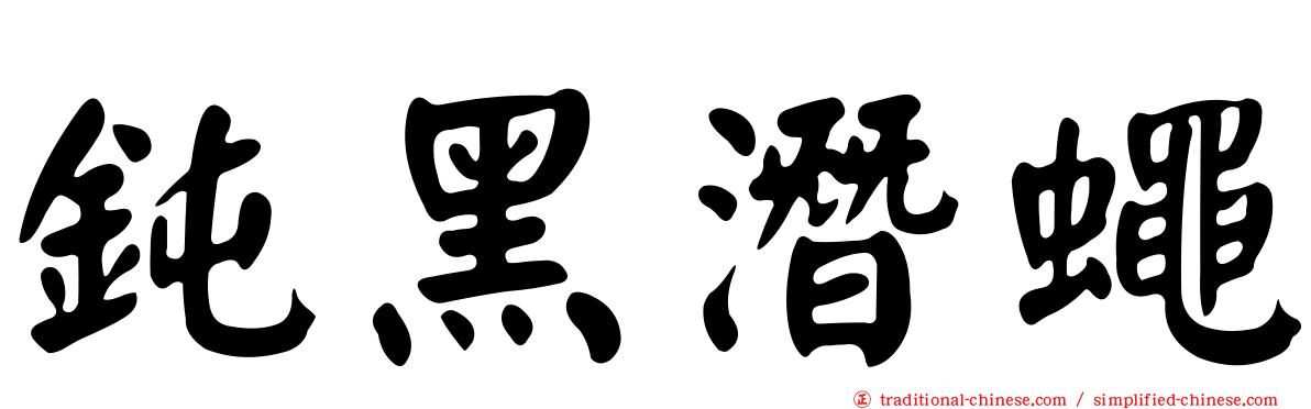 鈍黑潛蠅