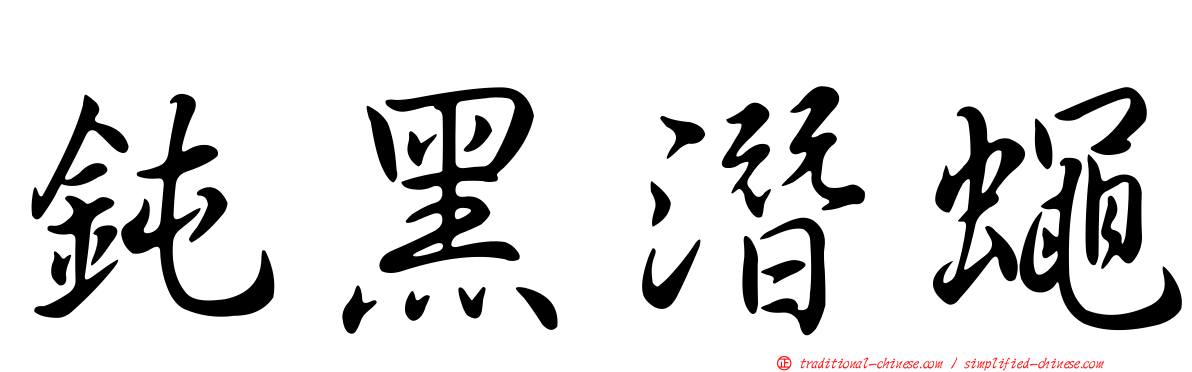 鈍黑潛蠅