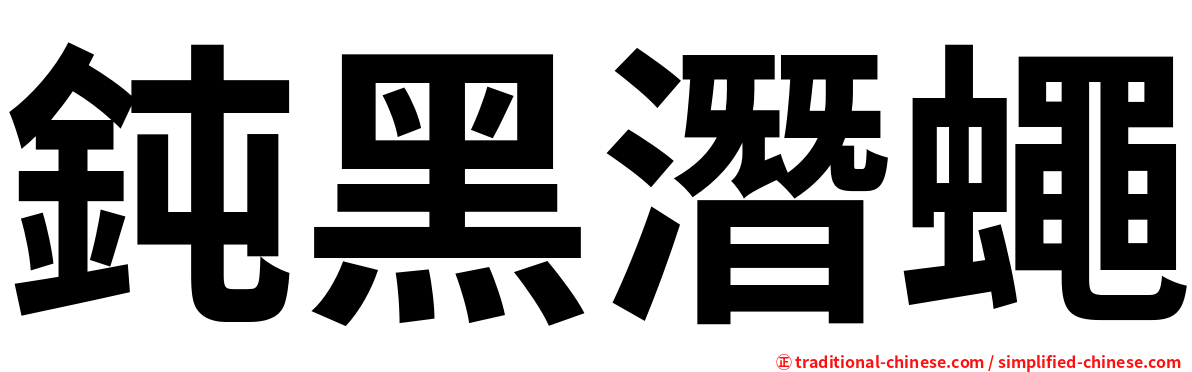 鈍黑潛蠅