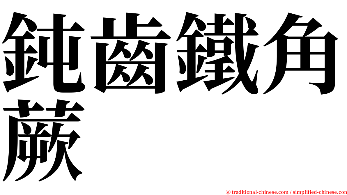 鈍齒鐵角蕨 serif font