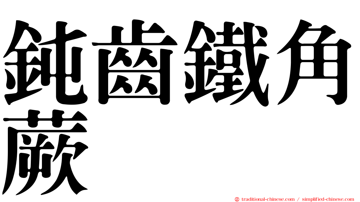 鈍齒鐵角蕨