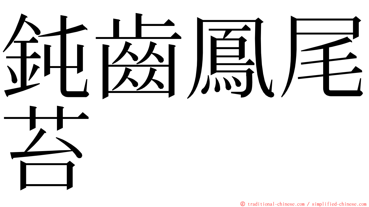 鈍齒鳳尾苔 ming font