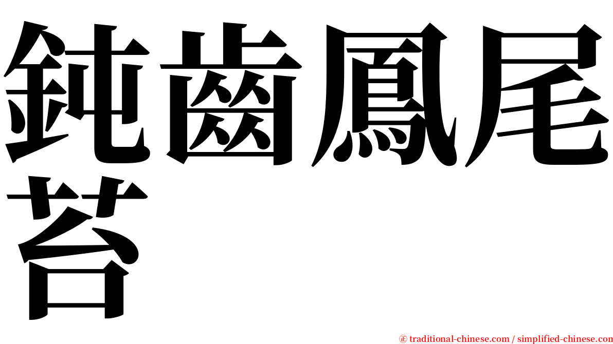 鈍齒鳳尾苔 serif font