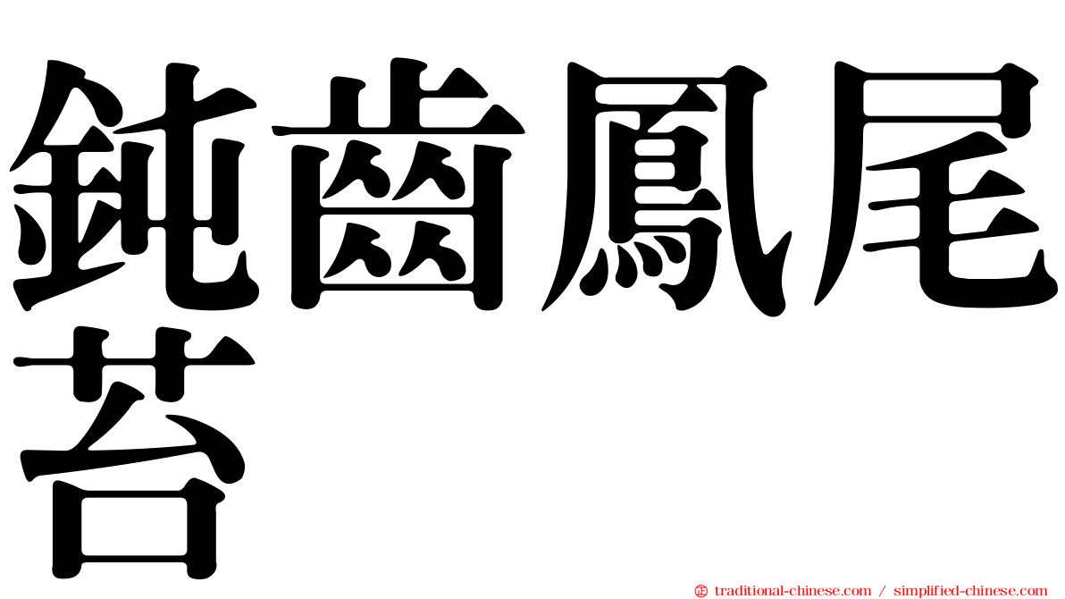 鈍齒鳳尾苔