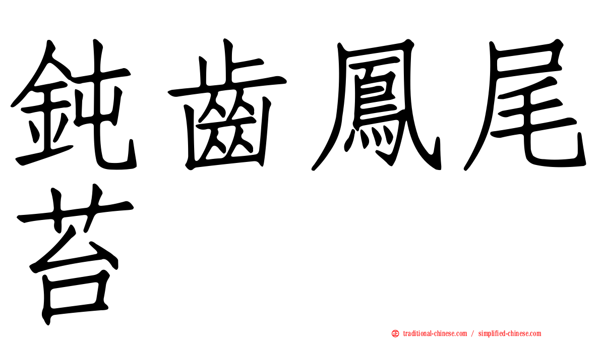 鈍齒鳳尾苔