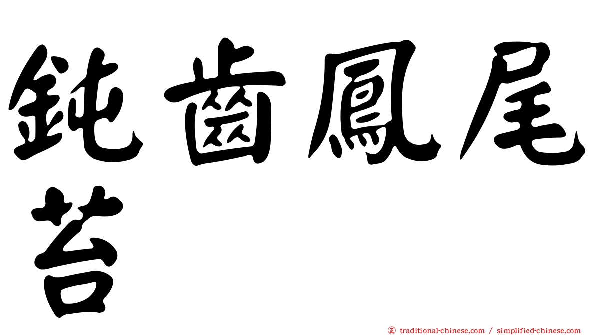 鈍齒鳳尾苔
