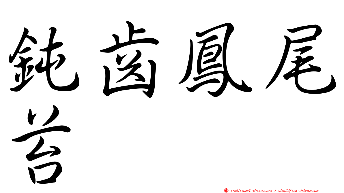 鈍齒鳳尾苔