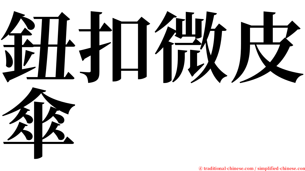 鈕扣微皮傘 serif font