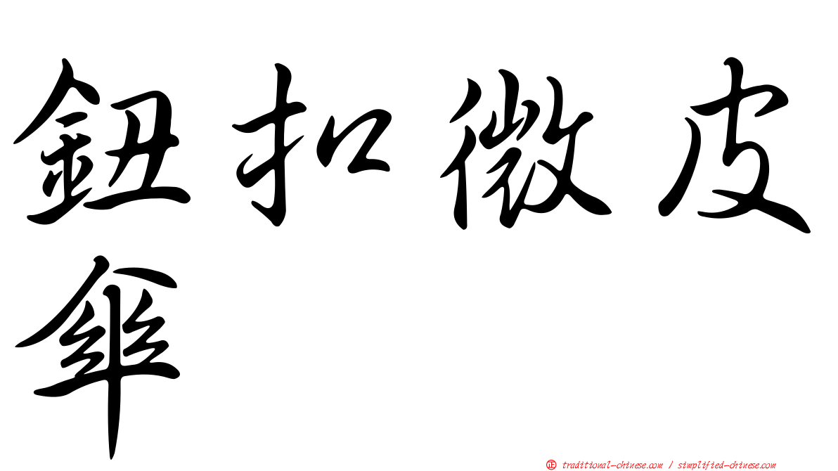 鈕扣微皮傘