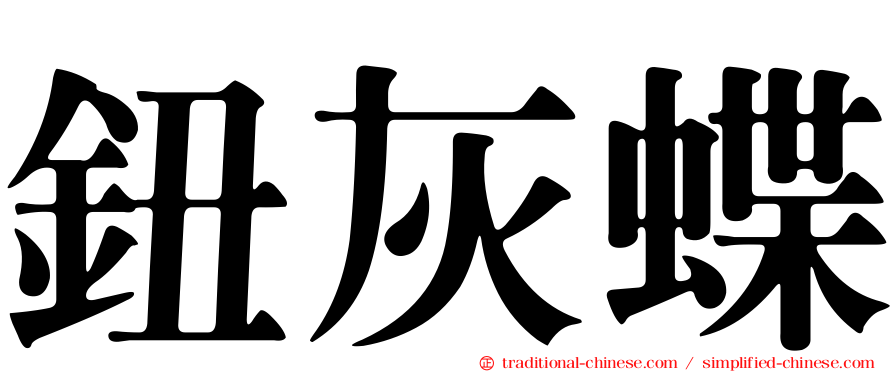 鈕灰蝶
