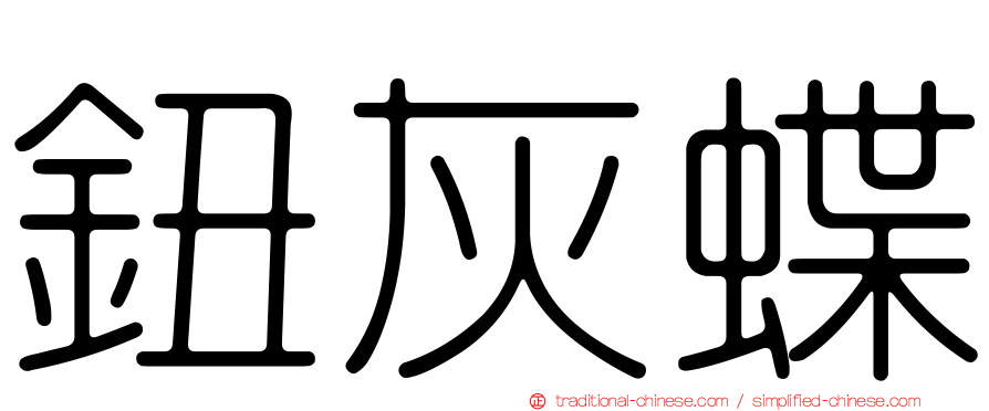 鈕灰蝶