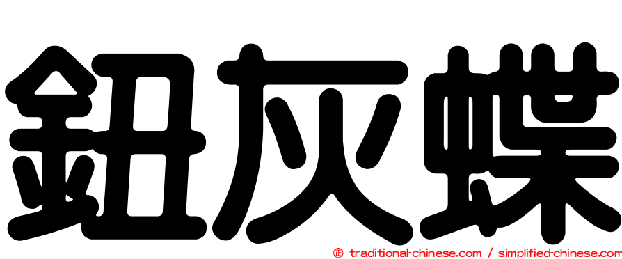 鈕灰蝶