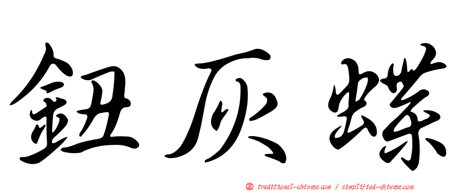 鈕灰蝶