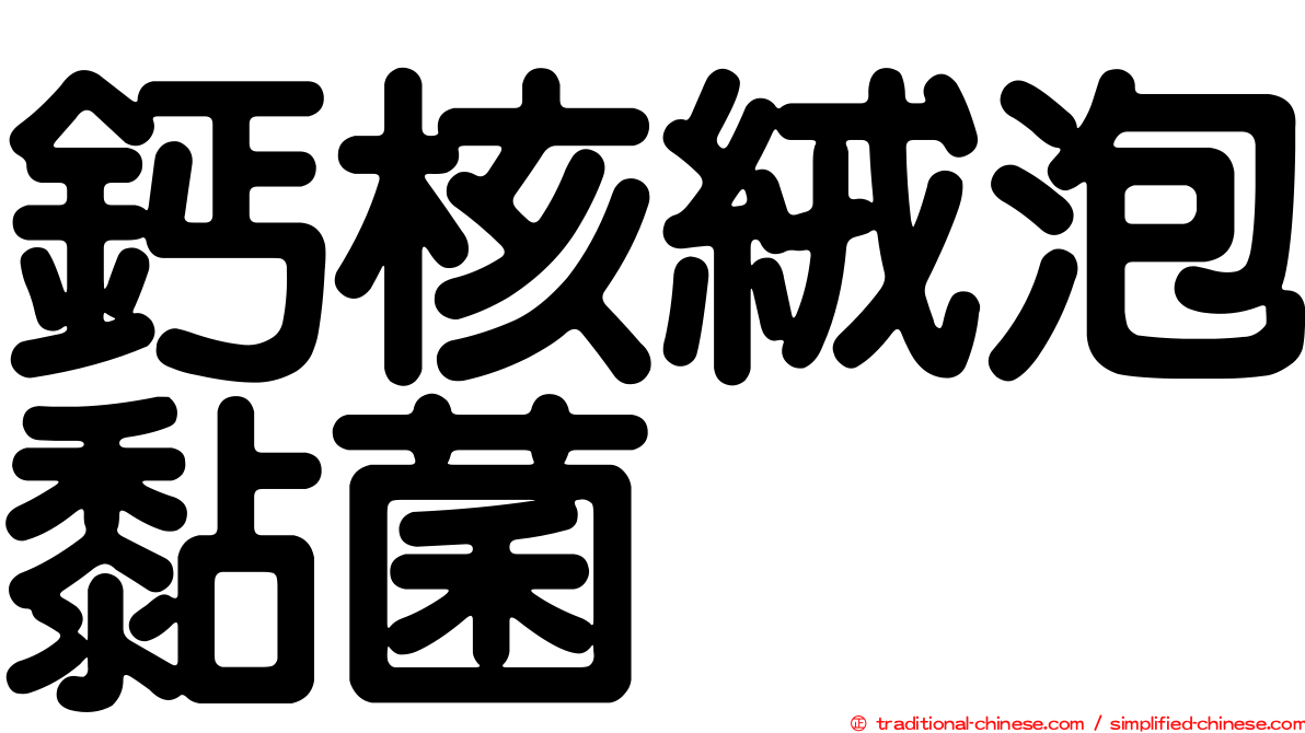 鈣核絨泡黏菌