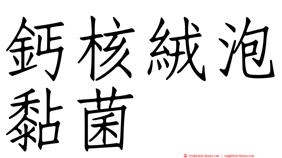 鈣核絨泡黏菌