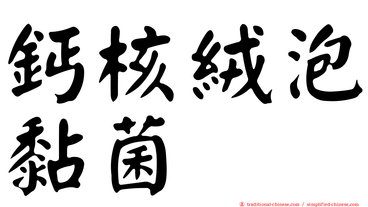 鈣核絨泡黏菌