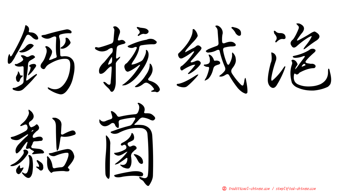 鈣核絨泡黏菌