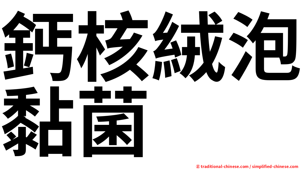 鈣核絨泡黏菌
