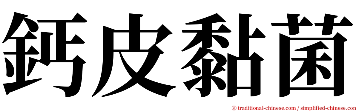 鈣皮黏菌 serif font