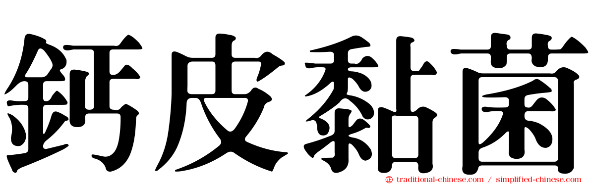 鈣皮黏菌