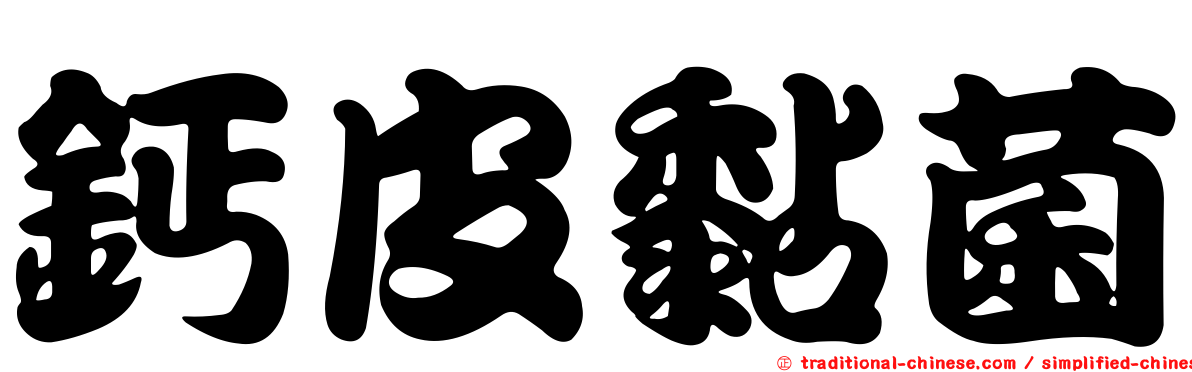 鈣皮黏菌