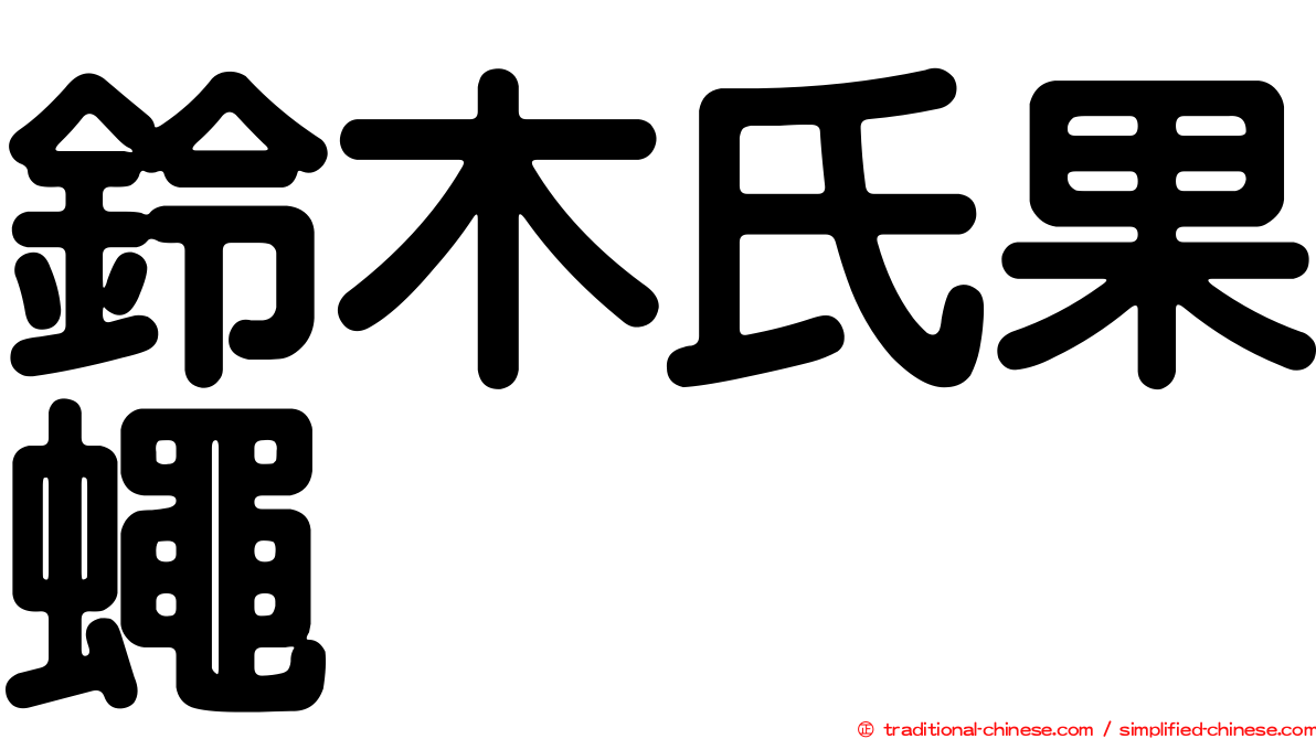 鈴木氏果蠅