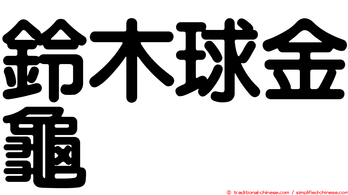 鈴木球金龜