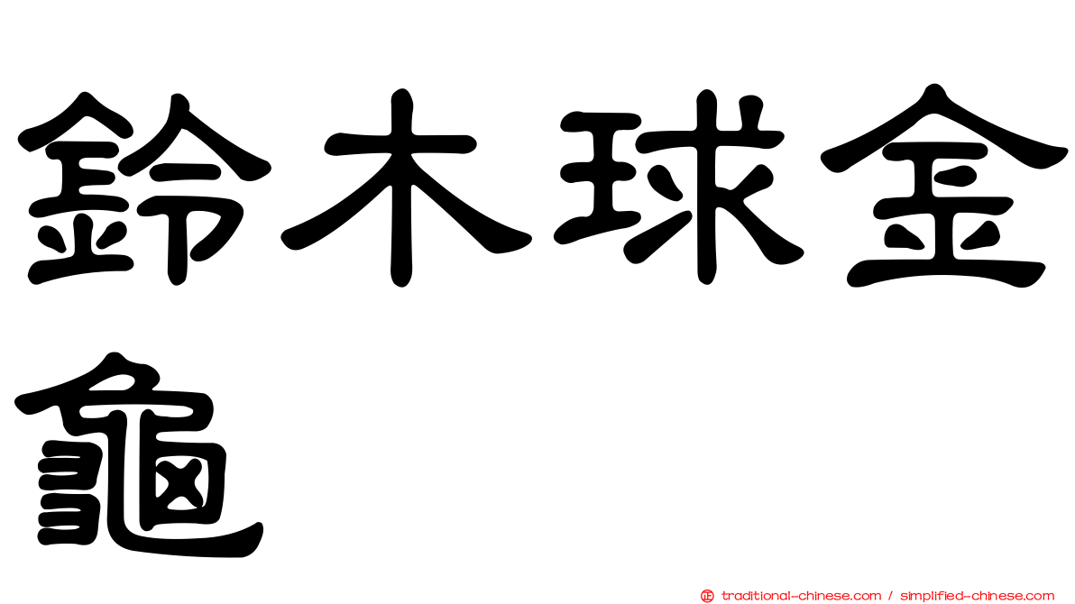 鈴木球金龜