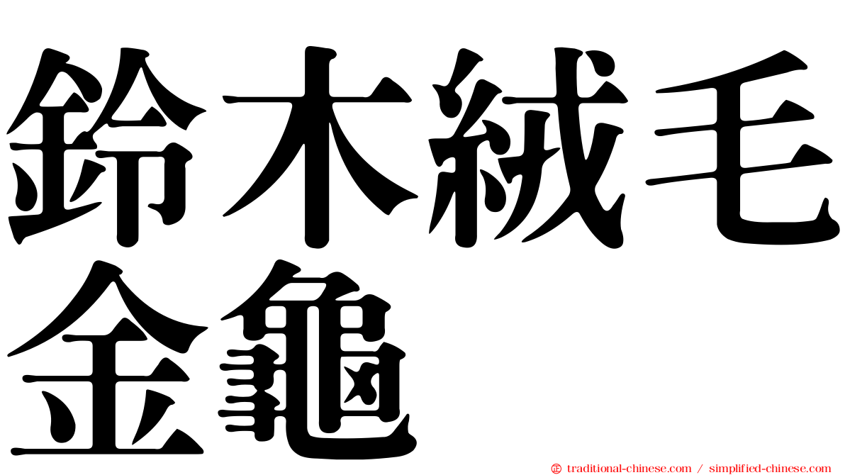 鈴木絨毛金龜