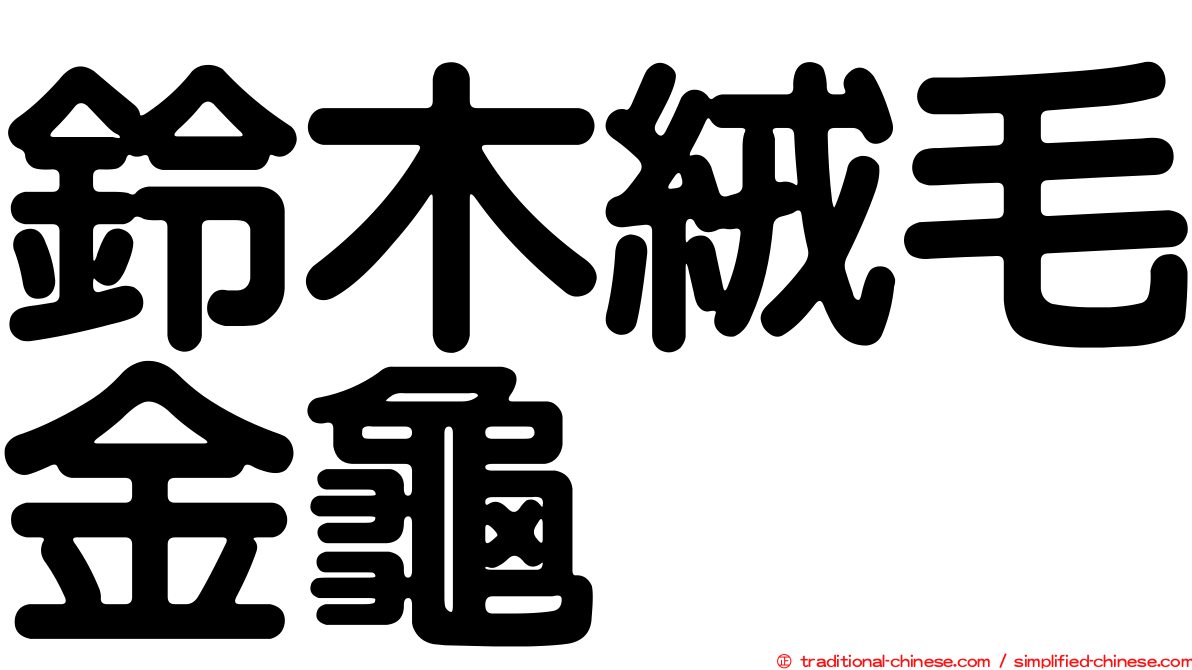 鈴木絨毛金龜